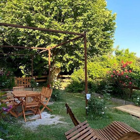 Jolie Maisonnette Niozelles Zewnętrze zdjęcie